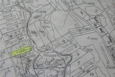 Teren de 18800 mp, în Arpașu de Sus - 6