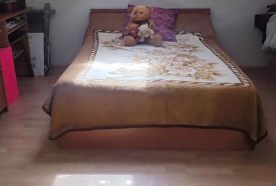 Casă cu 4 camere în Potcoava - 7