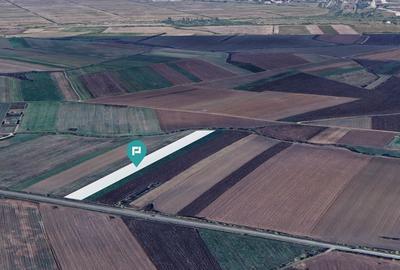 Teren intravilan la stradă principală Remetea Mare - 2