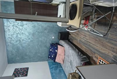 Inchiriez mini garoniera la parc monument - 5