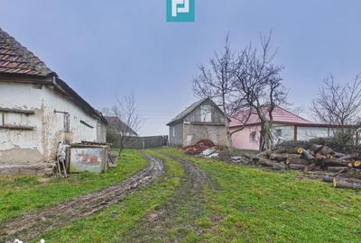 Casă cu 3 camere cu Teren 5000 Mp în Sânmartin - 10