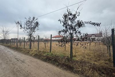 VALEA URSULUI, TEREN INTRAVILAN DE VANZARE,  LA MARGINE DE PADURE - 7
