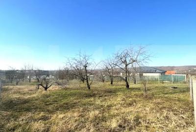 Teren de 1000 mp, în Paleu