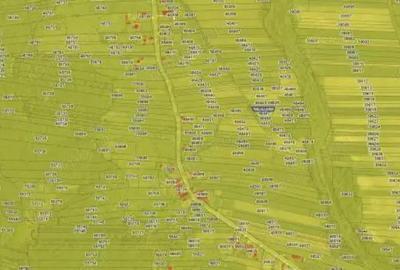 Teren extravilan, loc. Bustuchin, Jud Gorj - 3