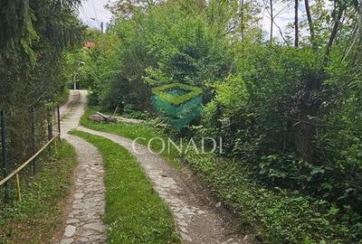 Teren de 800 mp, în Central - 3