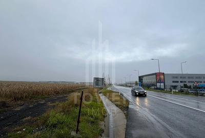 Teren Intravilan | Zona Industriala Vest | 20.663 mp - 15