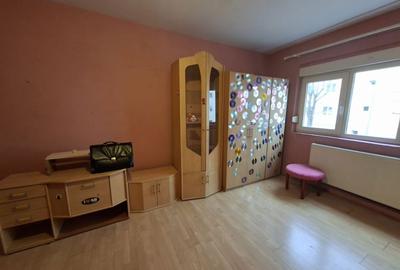 Apartament cu 2 camere decomandat în Lotrioara - 3