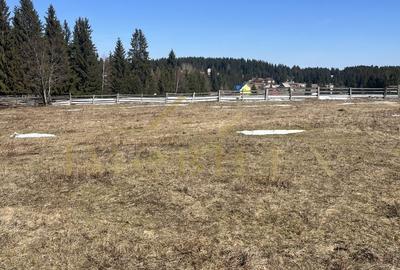 Teren de 1000 mp, în Măguri - 4