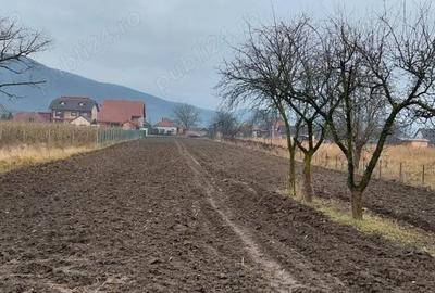 Teren în Brănișca - 3