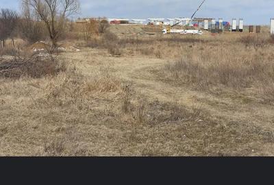Teren de 500 mp, în Manolache - 3