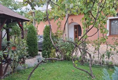 Casă cu 5 camere în Petroasa Mare - 6
