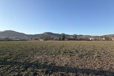 Teren de 1150 mp, în Central - 3