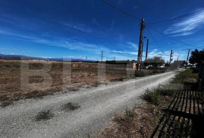 Teren Prelungirea Panduri - 4