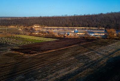 Spațiu comercial, de 50,000 mp, în Horgești - 7