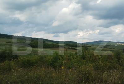 Teren extravilan, 51 ari,zona Sigmir - 6