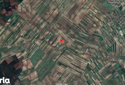 Teren de 18318 mp, în Ștefan cel Mare - 1