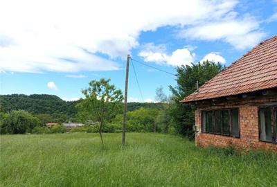 Borlovenii Noi, Teren Drept, 16000mp, la Limita Localitatii - 11