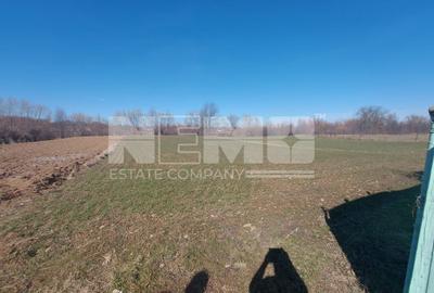 Teren agricol intravilan de 1822 mp, în Marginea - 1