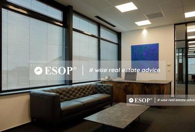 Spațiu comercial, de 5,900 mp, în Băneasa - 9