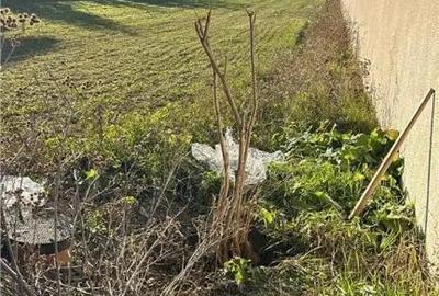 Teren în Stupinii Prejmerului - 5