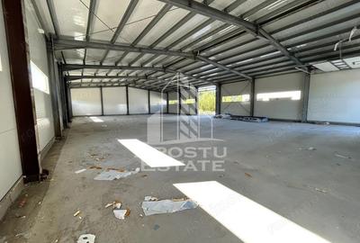 Spațiu comercial, de 550 mp, în Săcălaz