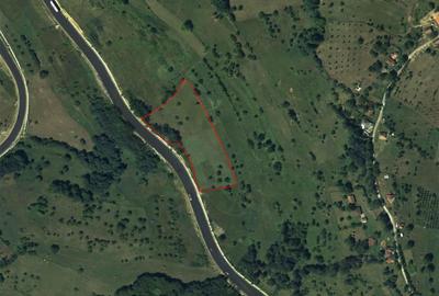 Teren Construcții intravilan de 8757 mp, în Luncoiu de Sus - 15