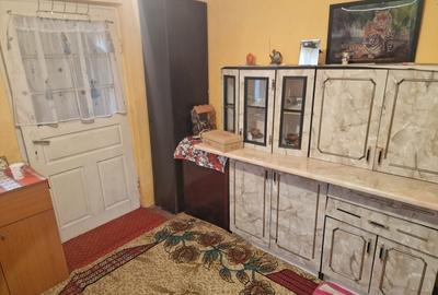 Casă individuală cu 3 camere cu Teren 2850 Mp în Alunișu - 11