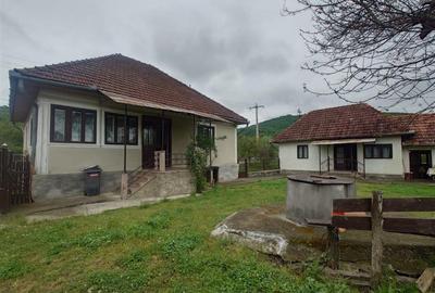 Casă cu 4 camere cu Teren 2651 Mp în Rișculița - 1