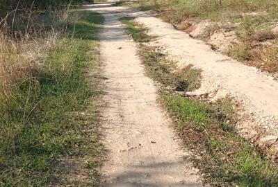 Vanzare teren pentru casa-duplex, sos Dobroiesti sect 2, 591 mp, cca 31/18, Vanzare teren pentru casa-duplex, sos Dobroiesti sect 2, 591 mp, cca 31/18, - 5