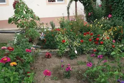 Casă cu 2 camere cu Teren 400 Mp în Gura Humorului - 5