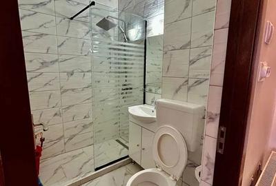 Apartament cu 3 camere decomandat în Central - 9