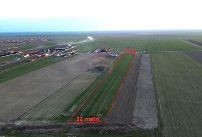 Teren Construcții intravilan de 12360 mp, în Boțârlău - 3