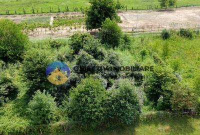 Teren intravilan com. Alexandru cel Bun- Viisoara - 7