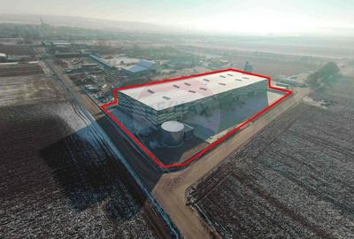 Hala de vanzare, Sc 7014mp, Zona Biharia - 1