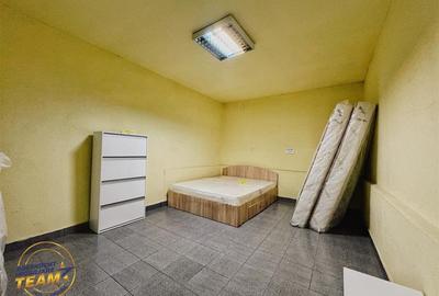 Spațiu comercial, de 394.86999511719 mp, în Gării - 12