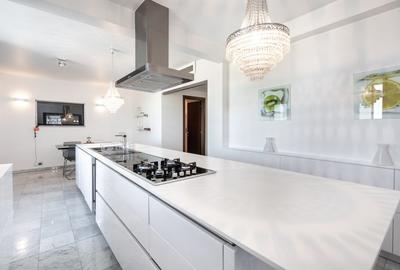 Apartament 4 camere 269 mp de vanzare Tineretului Asmita Gardens-Mobilat/Utilat - 9