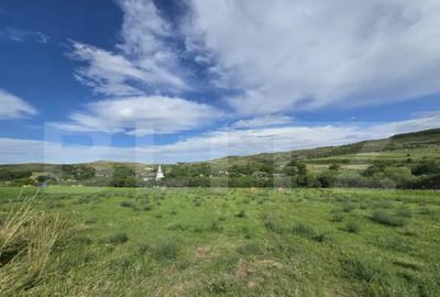 Teren de 2431 mp, în Chinteni - 7