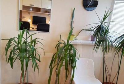 Apartament 2 camere, Republicii-Caraiman - 4