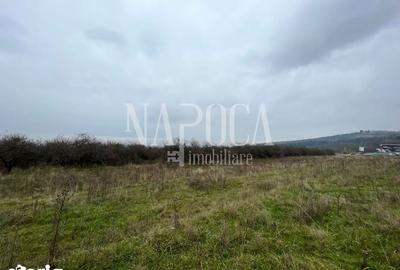 Teren de 2097 mp, în Feleacu