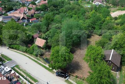 Spațiu comercial, în Drâmbar - 7