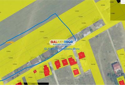 Teren Construcții intravilan de 9202 mp, în Domnești - 8