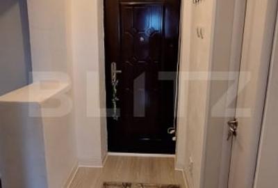 Apartament la cheie, 2 camere, semidecomandat, zona Lotrului Apartament la cheie, 2 camere, semidecomandat, zona Lotrului - 4