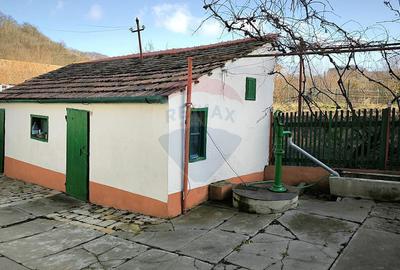 Casă cu 4 camere cu Teren 1084 Mp în Vale - 8