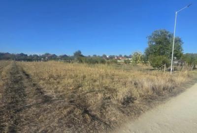 Teren de 1000 mp, în Central - 5