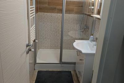 Garsonieră decomandată, mobilată în Fundeni - 3