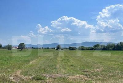 Oportunitate de investitie!! Teren extravilan,4000 mp, Vicov - 3