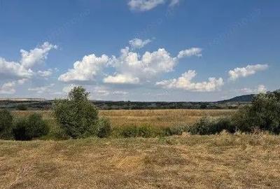 Teren Extravilan Banca, ID: R2805492 - 4