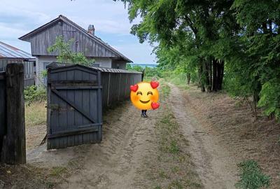 Casă cu 3 camere în Păltiniș - 6