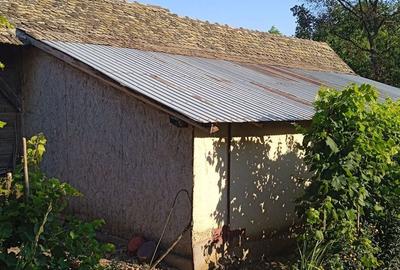 Casă cu 6 camere în Giubega - 2