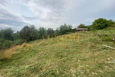 Teren intravilan 1279 mp , Valea Budacului